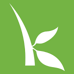 logo_kiva.png