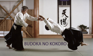 Budoka no kokoro