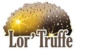 Truffe