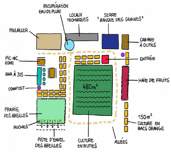 Faire pousser des légumes sur un toit